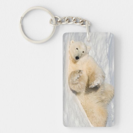 Polar Bear bei Hudson Bay Schlüsselanhänger (Vorderseite)