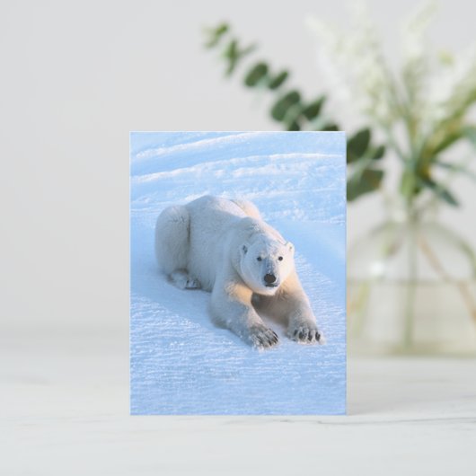 Polar Bear Blue Postkarte (Stehend Vorderseite)
