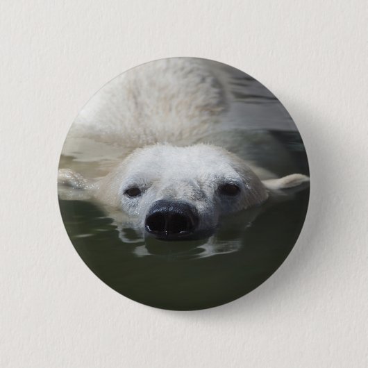 Polar Bear Button (Vorderseite)
