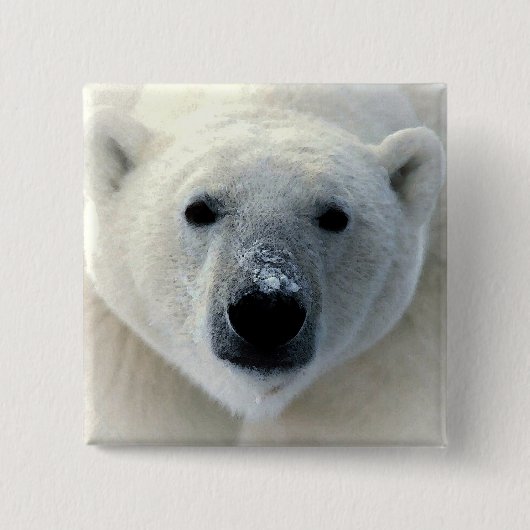 Polar Bear Button (Vorderseite)