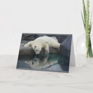 Polar Bear Cards - Reflektionen Karte