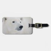 Polar Bear Churchill Gepäckanhänger (Vorderseite horizontal)