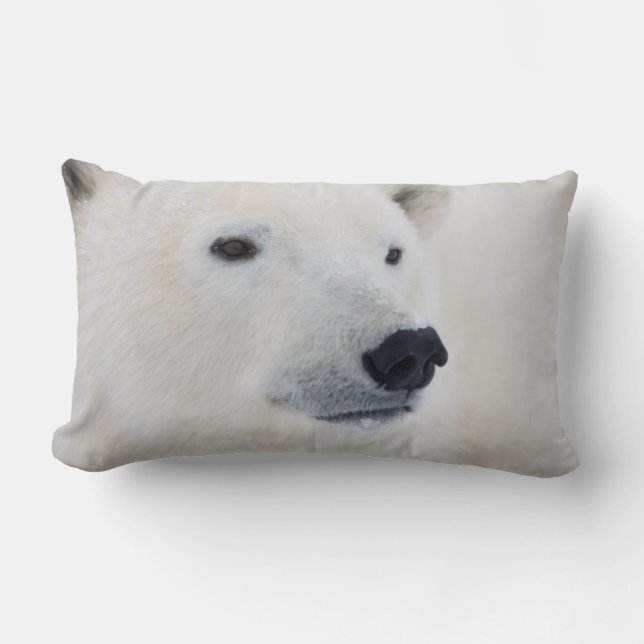 Polar Bear Churchill Lendenkissen (Vorderseite)