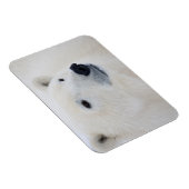 Polar Bear Churchill Magnet (Rechte Seite)