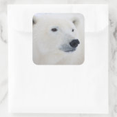 Polar Bear Churchill Quadratischer Aufkleber (Tasche)