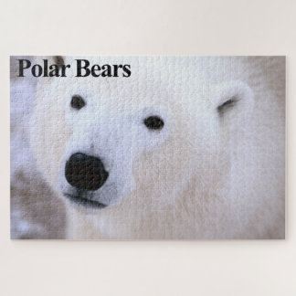 Polar Bear Cub Jigsaw Puzzle
