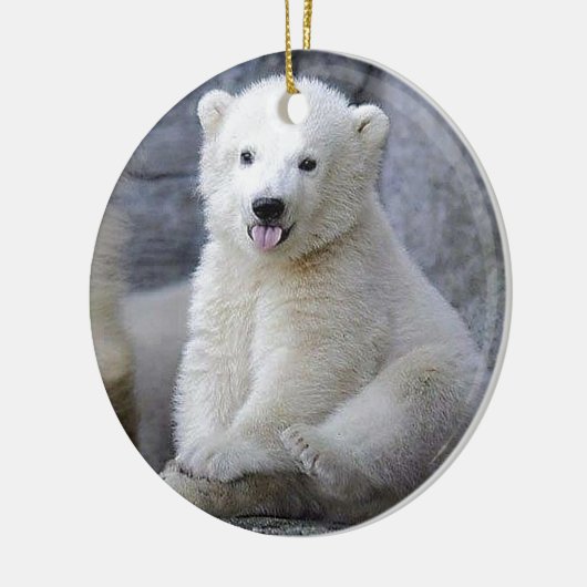 Polar Bear Cub Keramikornament (Links)