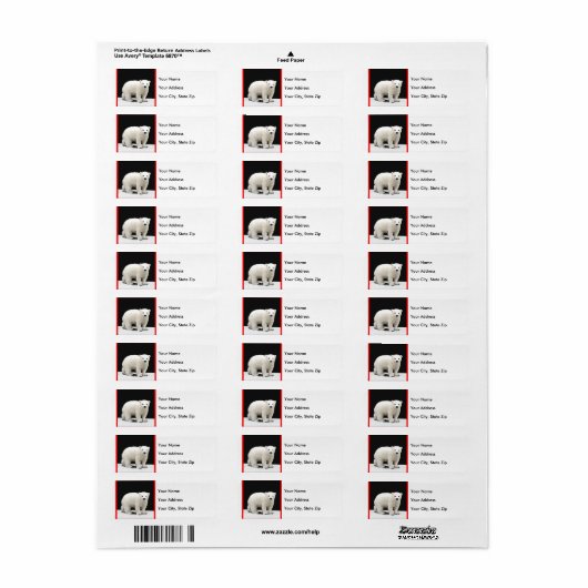 Polar Bear Cub Painting - Original Wildlife Art (Vorne)