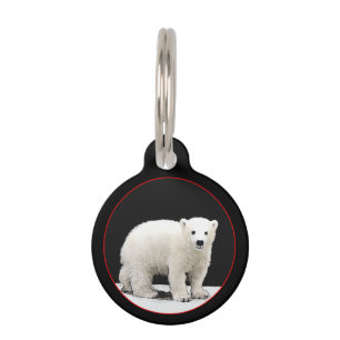 Polar Bear Cub Painting - Original Wildlife Art Haustiermarke
