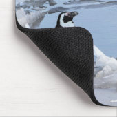 Polar Bear Cub & Penguin Mousepad (Ecke)