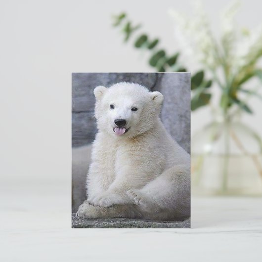 Polar Bear Cub Postkarte (Stehend Vorderseite)
