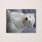 Polar Bear Cub Puzzle (Horizontal)