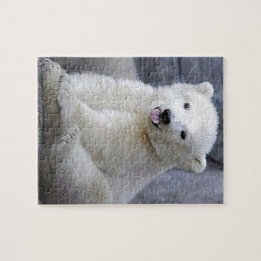 Polar Bear Cub Puzzle (Horizontal)
