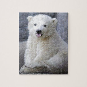 Polar Bear Cub Puzzle