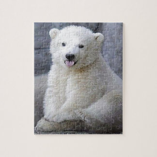 Polar Bear Cub Puzzle