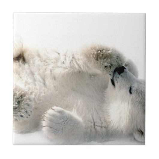 Polar Bear Cube Süße Tier Arktis gefroren Winter Fliese (Vorderseite)