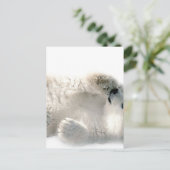 Polar Bear Cube Süße Tier Arktis gefroren Winter Postkarte (Stehend Vorderseite)