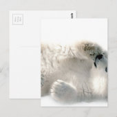 Polar Bear Cube Süße Tier Arktis gefroren Winter Postkarte (Vorne/Hinten)