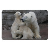 Polar Bear Cubs Magnet (Horizontal)