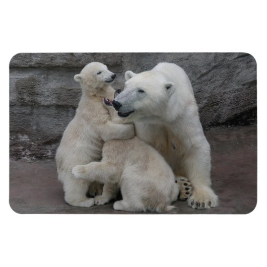 Polar Bear Cubs Magnet (Horizontal)