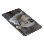 Polar Bear Cubs Magnet (Rechte Seite)