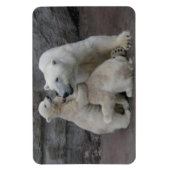 Polar Bear Cubs Magnet (Vertikal)