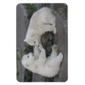 Polar Bear Cubs Magnet (Vertikal)