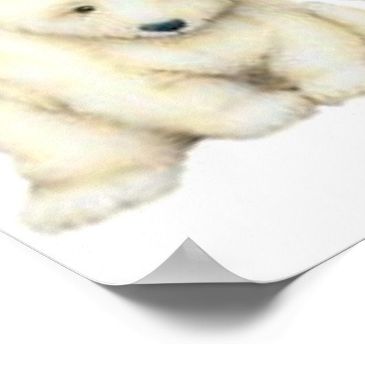 Polar Bear Cubs Poster (Ecke)