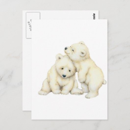 Polar Bear Cubs Postkarte (Vorne/Hinten)