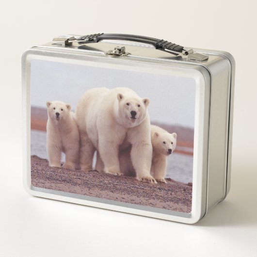 Polar Bear Cute Family Mother and Cubs Photo Metall Brotdose (Vorderseite)