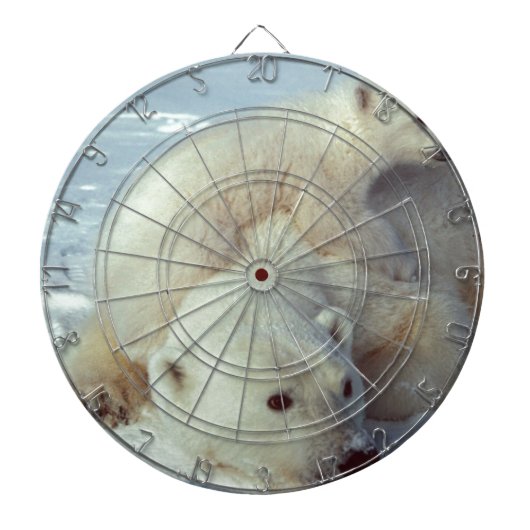 Polar Bear Dartscheibe (vorne)