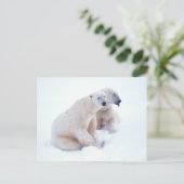 Polar Bear Duo Postkarte (Stehend Vorderseite)