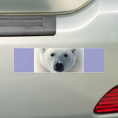 Polar Bear Face Autoaufkleber (Auf Auto)