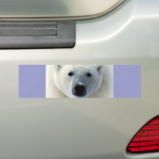 Polar Bear Face Autoaufkleber (Auf Auto)