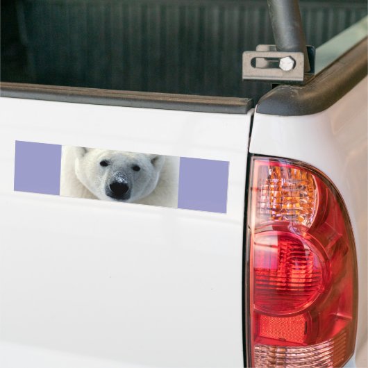 Polar Bear Face Autoaufkleber (Auf Lkw)