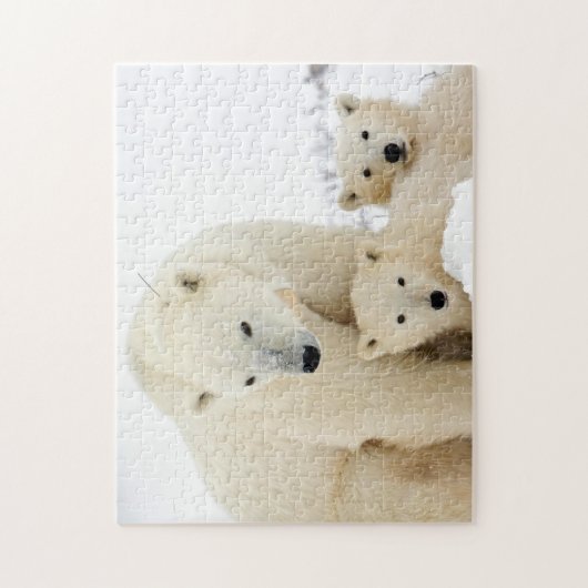 Polar Bear Family, Jigsaw Puzzle (Vertikal)