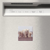 Polar Bear Family Magnet (In Situ (Geschirrspüler))