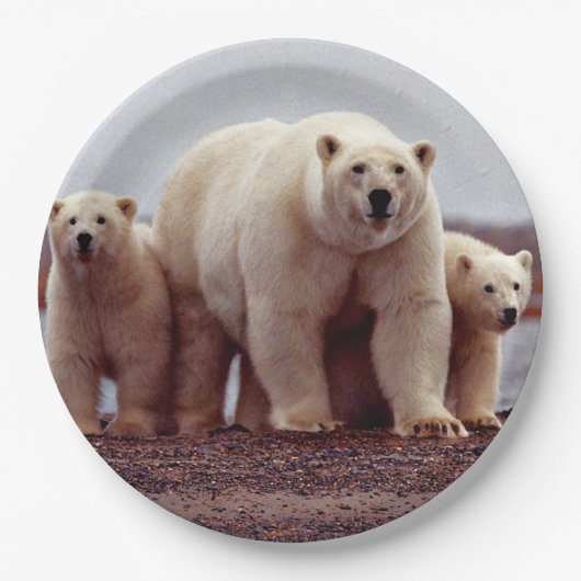 Polar Bear Family Pappteller (Vorderseite)