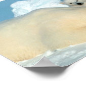 Polar Bear Family Poster (Ecke)