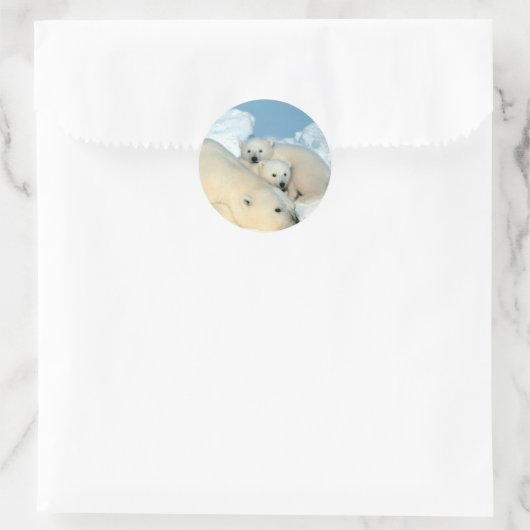 Polar Bear Family Runder Aufkleber (Tasche)