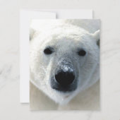 Polar Bear Flat Card (Vorderseite)