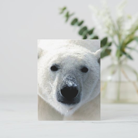 Polar Bear Flat Card (Stehend Vorderseite)