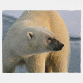 POLAR BEAR FLEECEDECKE (Vorderseite (Horizontal))