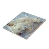 Polar Bear Fliese (Seite)