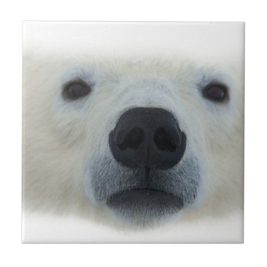 Polar Bear Fliese (Vorderseite)