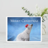Polar Bear Foto Weihnachtsgrußkarten Feiertagskarte (Stehend Vorderseite)