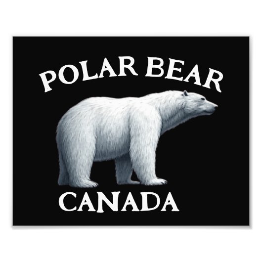 POLAR BEAR FOTODRUCK (Vorne)