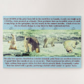 Polar Bear Fun Fakten 20"x30" - 1,014 Stück Puzzle (Horizontal)