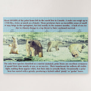Polar Bear Fun Fakten 20"x30" - 1,014 Stück Puzzle