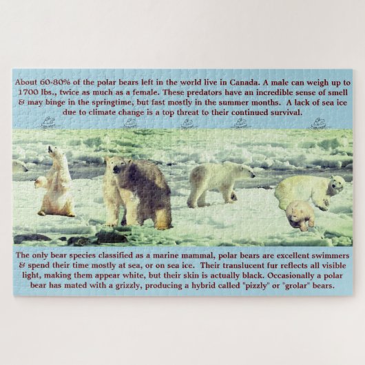 Polar Bear Fun Fakten 20"x30" - 1,014 Stück Puzzle (Horizontal)